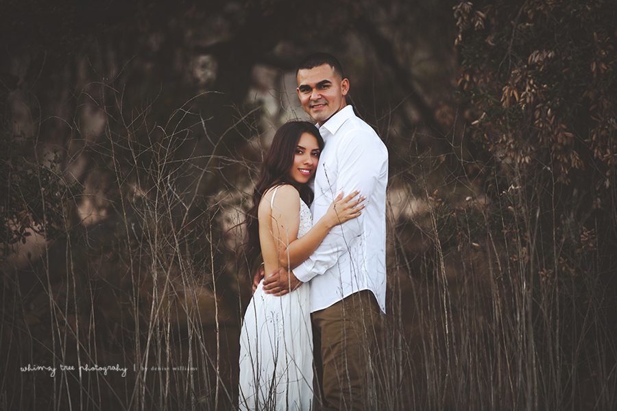 11 Fotógrafos de noivado de Orange County