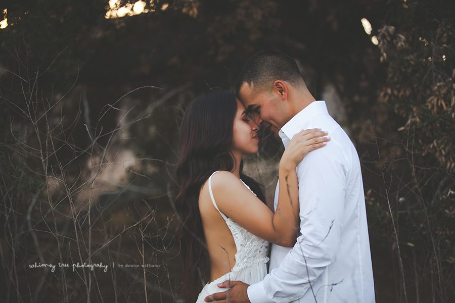 13 Fotógrafos de noivado de Orange County