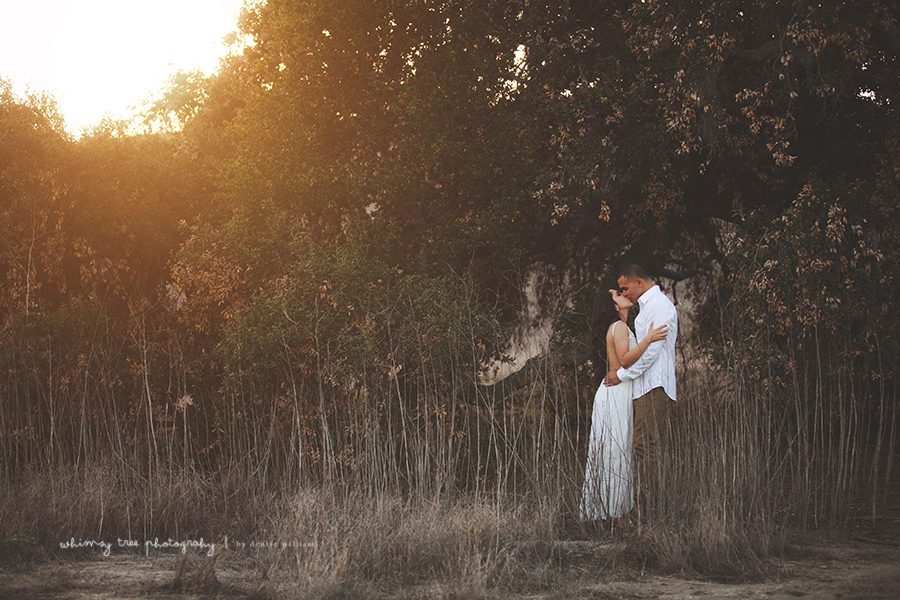 17 Fotógrafos de noivado de Orange County