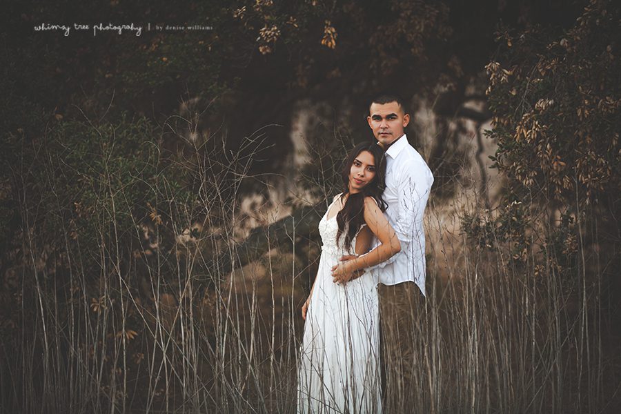 18 Fotógrafos de noivado de Orange County