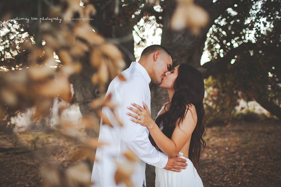19 Fotógrafo de noivado de Orange County