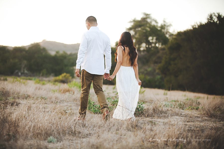 21 Fotógrafos de noivado de Orange County