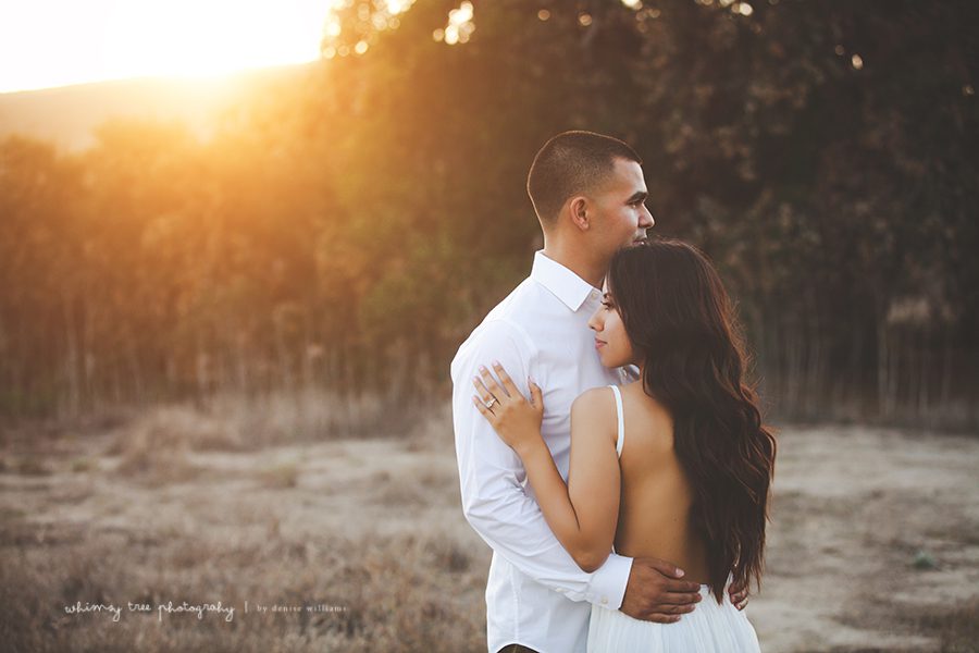 7 Fotógrafos de noivado de Orange County